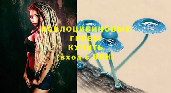mdma Костерёво