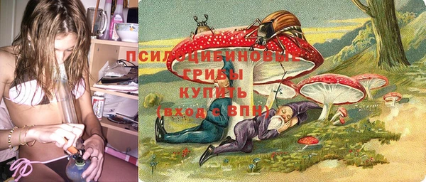 спиды Корсаков