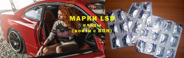 спиды Корсаков